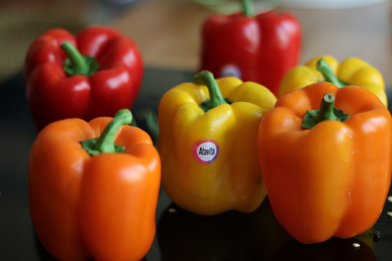 colorful-bellpeper فلفل دلمه رنگی - تصویر 1