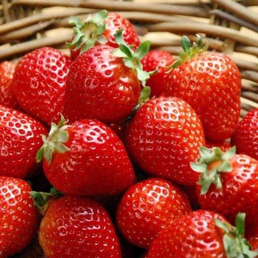 e582347c-4489-4bc9-920e-ef82f6d3b314.jpg توت فرنگي - تصویر 1