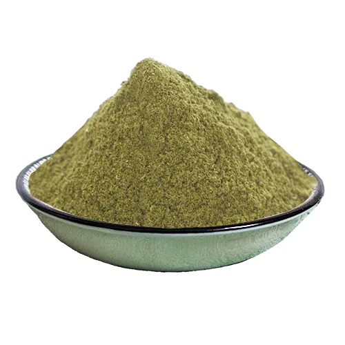 oregano-powder-one اورگانو بسته 500گرمی - تصویر 1